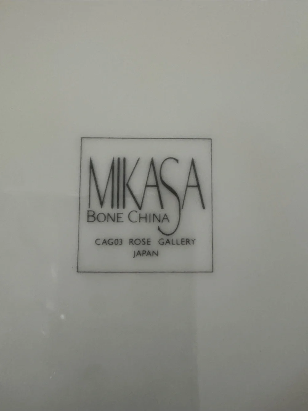 Mikasa Cag03 Rare Rose Gallery Plate with Black Rim and Pastel Floral Border